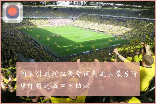 国米引进姆拉契奇谈判进入最后阶段即将达成口头协议