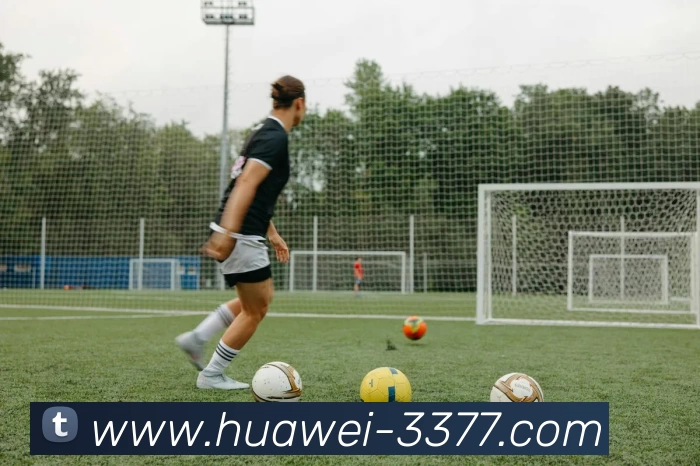 3377体育发展历程